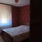 Maison Familiale Au Coeur Des Vosges *