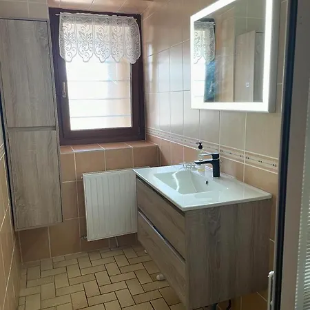 Maison Familiale Au Coeur Des Vosges Aumontzey